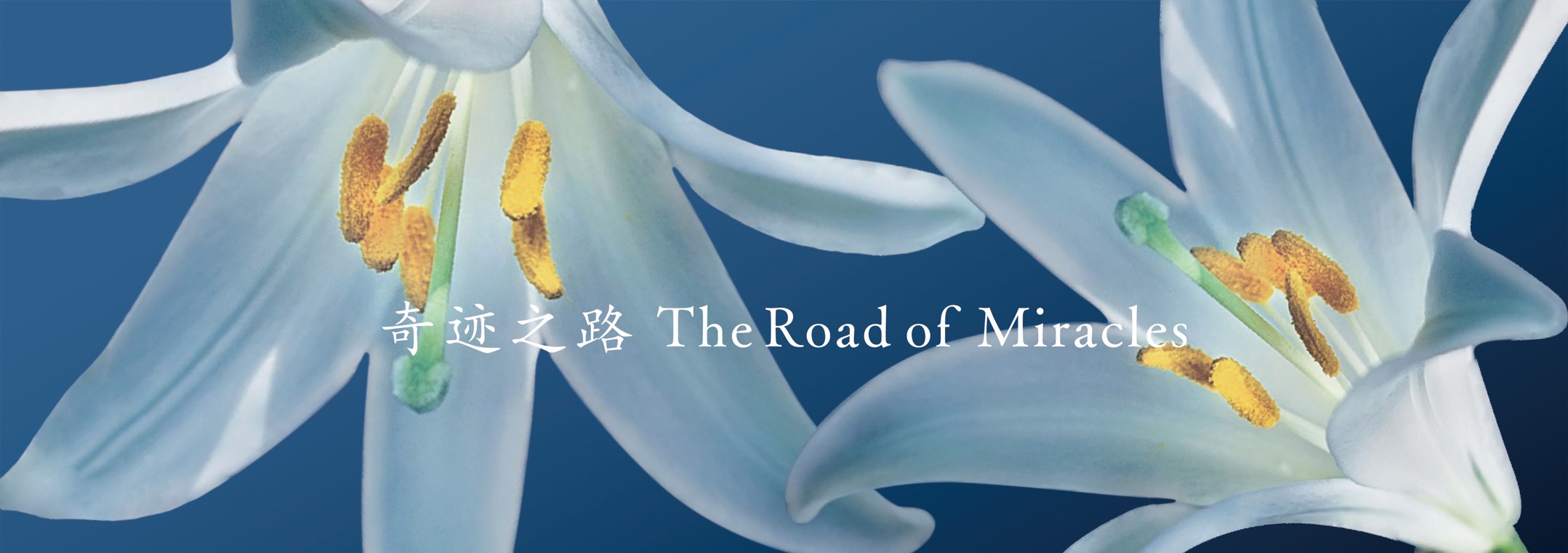 奇蹟之路 The Road of Miracles